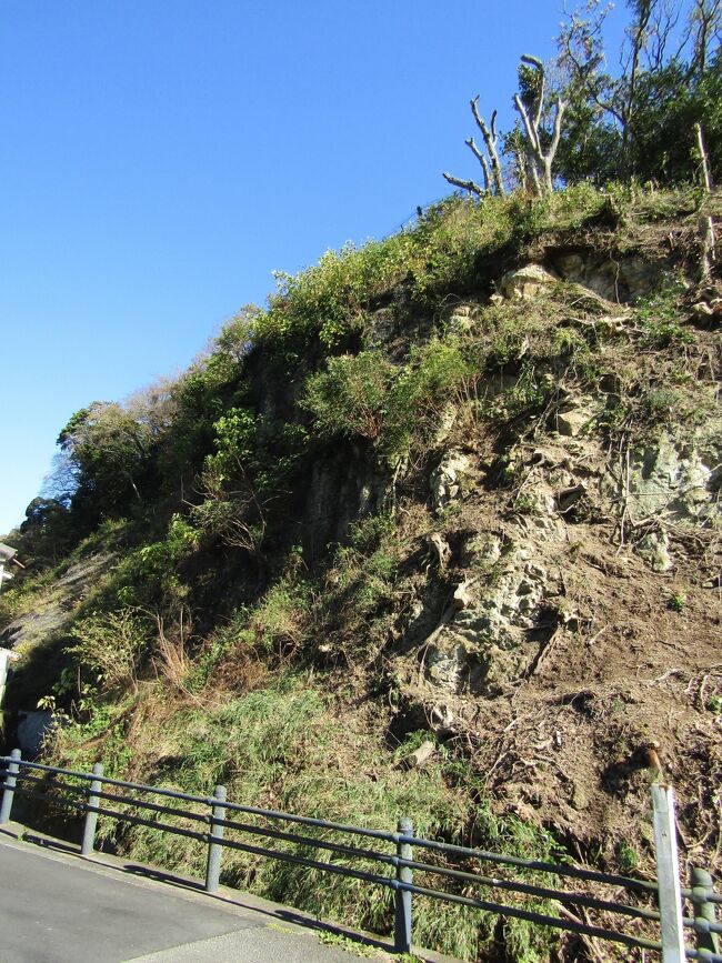 鎌倉市二階堂の永福寺跡には手前から阿弥陀堂、釈迦堂、薬師堂のそれぞれの基壇が復原されている。あるいは、伽藍前の池も復原されたものである。<br /> 所詮復原されたものは本物ではない。しかし、この永福寺跡には建立当初からのもの、すなわち、本物も残っている。<br /> 永福寺は狭い二階堂川(当時の名は不明)の亀ヶ淵と呼ばれる淵脇の平地に建立された。しかし、敷地としては大寺を建てるには狭すぎて、覚園寺側の裏山を削って二段の丘を造成し、伽藍を建てられる場所を広げている。また、伽藍前を通る大手中路側も、経塚山の山裾を削って川を付け替えて伽藍の前に広がる池を広くしている。鎌倉では源頼朝没後に臨済宗が入って来て、寺の敷地を広げるために山裾を垂直に削って切岸としているが、こうした大土木工事は頼朝生前から行われていた。それを示すのが永福寺跡である。<br /> 二階堂川が流れる上の崖は平成30年(2018年)の台風24号の影響で崩落し、二階堂川を堰き止めて大きな水害が発生した。その後、崩落した崖は昨年(2020年)に樹木が伐採され、モルタル吹付けでなく、崖面に鉄製ネットを張ることで、崩落を防いでいる。また、さらにその下流の崖も樹木が伐採されており、元の山裾と削った崖との境も分かるようになっている。<br /> もうここまでになると経塚山の崖も史跡であり、前の大手中路を北上した先の山中にある2つの切通も含めて、鎌倉を代表する史跡、「永福寺跡と大手中路跡」、である。<br />(表紙写真は経塚山の崖面)