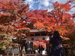 2021.11.25永観堂の紅葉