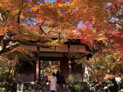 2021年秋は紅葉真っ盛りの京都☆快晴の3日目常寂光寺&嵯峨野トロッコなど