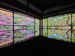 202111 約25年振り！驚くほど久し振りの京都・奈良　～紅葉めぐり～①