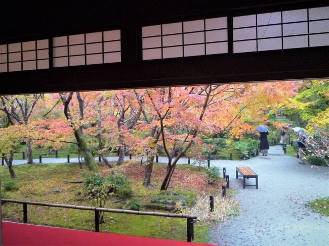 11月21日(日)~23日(火)2泊3日で京都に行って来ました。<br />目的 1.京都の紅葉を満喫すること<br /> 2.京都らしい食事を食すこと<br /> 3.京都のスーツを食べること<br /><br />11/21(日)一日目(#1)<br /> 東京から東海道新幹線で京都へ<br /> 見学場所:東福寺、伏見稲荷、ライトアップの清水寺<br /> 食事:日月庵(清水坂にある)<br /><br />11/22(月)二日目(#2)★ここ<br /> 見学橋:金閣寺、竜安寺、仁和寺、圓光寺<br /> 食事:そば沙門(仁和寺近く)、おうちごはん中島家(京都中心部)<br /><br />11/23(火)三日目(#3)<br /> 見学場所:平等院、錦市場<br /> スイーツ:中村藤吉本店 宇治本店<br /> 京都から東海道新幹線で東京駅へ