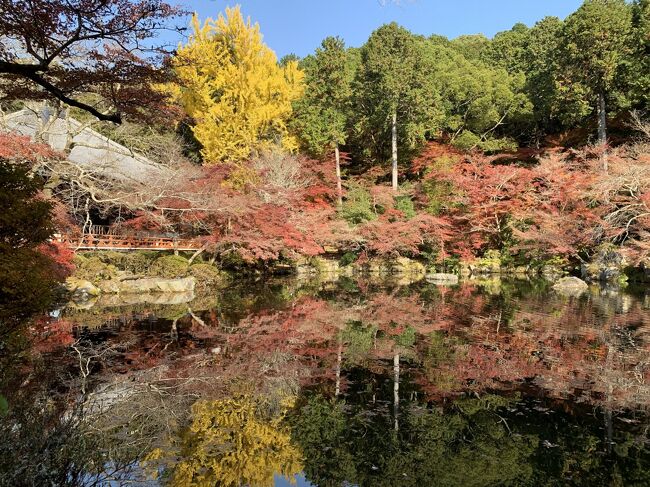 今年は紅葉が綺麗らしい。<br />去年はスケジュールの都合で行けなかった醍醐寺へ。<br />そのあとに、前から気になっていたMIHO MUSEUMへ。<br />日帰り駆け足で行ってきました。