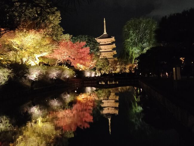 なんと旅行の中日に雨になってしまいました。雨の日の紅葉って・・・イマイチだよね～。という事でなるべく室内が楽しめる博物館や「特別拝観」を調べて行きました。夜は東寺のライトアップに行く予定だったので、雨次第ではキャンセルか？？と心の準備をしていたら、20時ぐらいに雨があがりました。<br />けっこう風もあり、寒かったのであたたかいうどんを食べて帰りました。