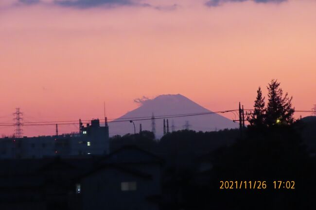11月26日、午後5時頃にふじみ野市から素晴らしく美しい夕焼け富士が見られました。<br /><br /><br /><br /><br /><br />*写真は美しかった夕焼け富士