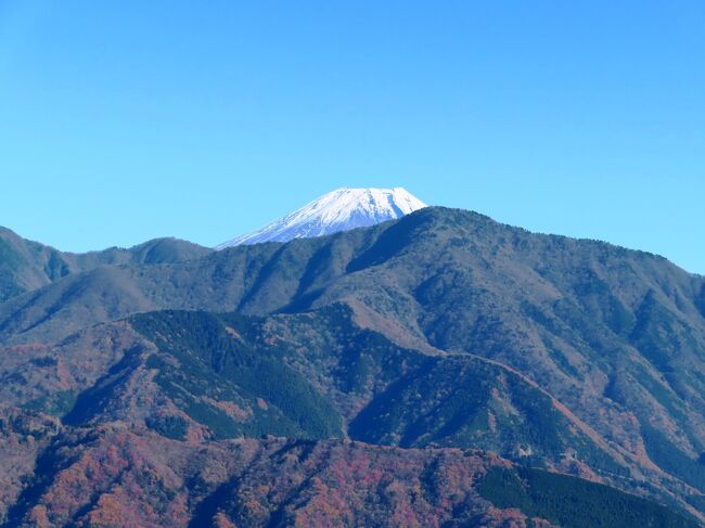 フジサンスキ？（1日目：昼の部～身延山は初めてだ！）