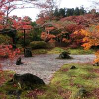 秋の松島　紅葉と牡蠣三昧の旅（後編）