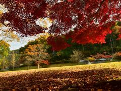 2021　紅葉を訪ねて（7）名古屋の奥座敷の定光寺と定光寺公園