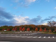 最後の紅葉と「グランディール」