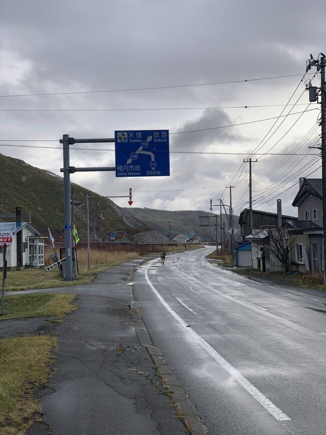 ①半世紀ぶりの宗谷本線に全線乗車できるか。<br />②抜海駅からノシャップ岬を経て、稚内駅前のサフィールホテル稚内までの20Ｋｍのトレールを完歩できるか。<br />③日曹炭鉱天塩鉱業所専用鉄道の9600型を撮影するために降り立った豊富駅を再訪できるか。<br />④NHコードシェアFWに乗り継げるか。<br />⑤旧稚内全日空ホテルとホテル豊富、JRイン旭川の居心地比べ。