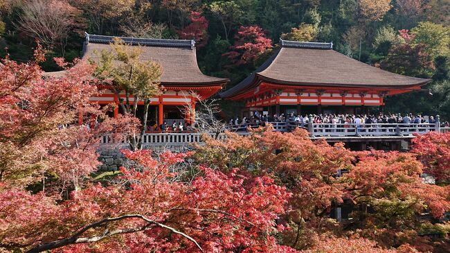多分、10年ぶりくらいで秋の京都へ出かけました。<br />コロナ前は、観光客が多くて敬遠していた京都ですが、今なら紅葉シーズンでも大混雑にはならないだろうということで、出かけてきました。<br />感染状況が落ち着いてきているせいか、思ったよりも人が多かったです。<br />（少なくとも、前回の嵐山のようなことはなかった）<br />修学旅行らしき生徒さんも、多かったです。<br /><br />※表紙は、大混雑の清水寺