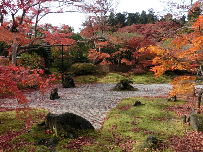 秋の松島　紅葉と牡蠣三昧の旅（後編）