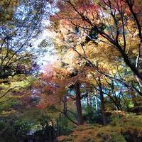 紅葉の京都 (3)   金閣寺・龍安寺