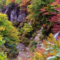 ないだて！秋の山形さ行ぐだ - 後編