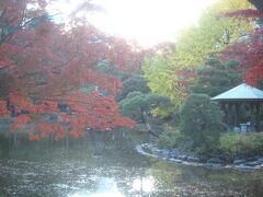 翌週試験なので湯島天神へ合格祈願に行き、日比谷公園に紅葉を見に行きました