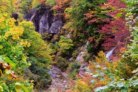 ないだて！秋の山形さ行ぐだ - 後編