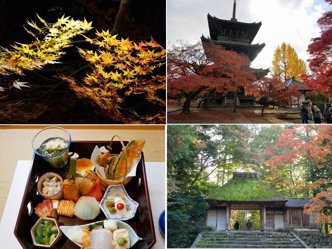 昨年の秋、4トラベラーさんを初め色々な方の京都の紅葉のブログを拝見し、その美しさにうっとり、「そうだ来年は京都に行こう！」と決めました。<br /><br />京都は修学旅行以来、一人旅は独身時代以来。<br />なので京都の名所といえば、昔の修学旅行の定番コースしか知らないような状況で、私の中ではデータ更新されておらず、こんな紅葉の観光スポットがあるのねと浦島太郎状態でした。<br /><br />紅葉の時季の京都の混雑は尋常ではないようなので、あまり移動せず、東山・祇園方面中心に計画を立てました。<br /><br />人気の寺院には朝早く行き、夜はライトアップも楽しもう。<br />食事や拝観の予約は、時間を気にしながら観光するのは避けたいので最低限にして。<br /><br /><br />1日目<br />東京　7:21発→　京都　9:32着<br />・祇園ゆやま で京料理ランチ<br />・真如堂、法然院、安楽寺<br />・哲学の道<br />・永観堂ライトアップ<br /><br />2日目<br />・東福寺、光明院<br />・花見小路から高台寺、圓徳院へ<br />・清水寺<br />・京菜味のむら でおばんざい<br />・高台寺と清水寺のライトアップ<br /><br />3日目<br />・南禅寺、水路閣、永観堂<br />・八千代で湯豆腐料理<br />・毘沙門堂<br />・茶寮都路里で和スイーツ<br />京都　16:54　→　東京　19:06着<br /><br /><br />