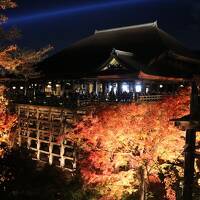 2021年京都の紅葉巡り（その２，二条城と清水寺の夜景）