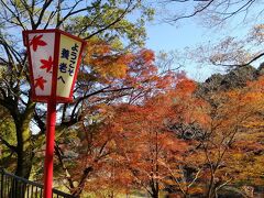 養老で温泉、大垣でかき氷