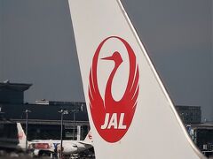 羽田空港 第１ターミナル　JAL315便　搭乗手続きタッチレスに　☆福岡往復-21,900円で