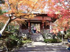 2021年京都の紅葉巡り（その１、嵐山）