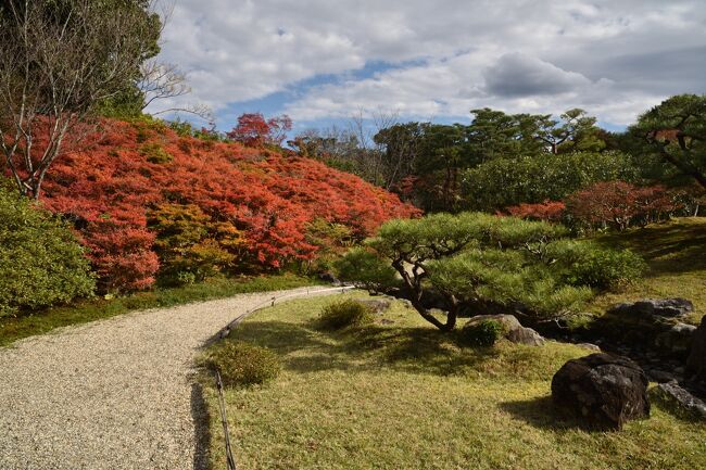 紅葉の季節になりました。紅葉巡りの第一弾です。<br />連れ合いを奈良の古文書教室まで送るついでに、奈良公園周辺の紅葉を鑑賞しました。これまで奈良の紅葉と言ってもあまり思い浮かばなかったのですが、結構見どころもあるようです。