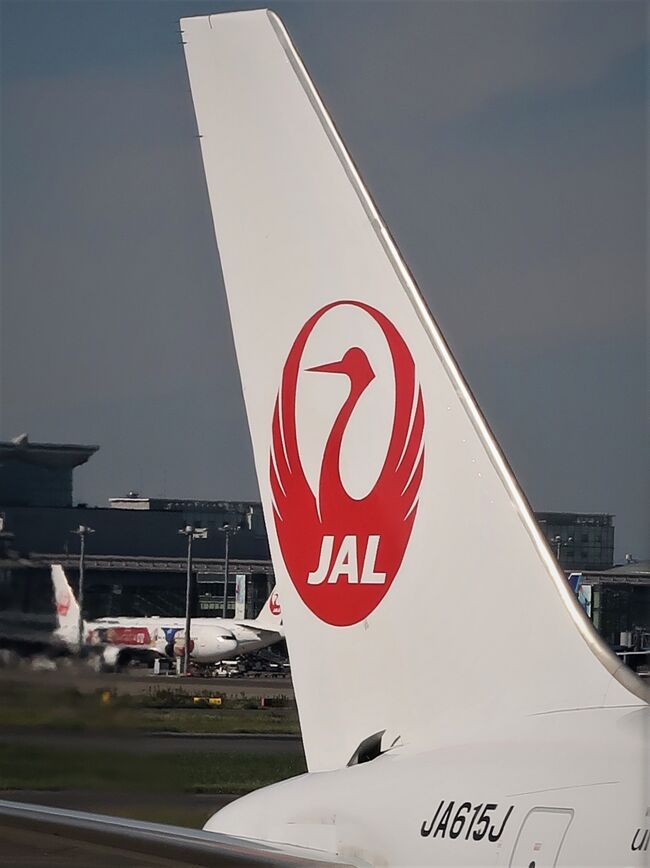 羽田空港　10:55　　JAL315便　45A　<br /><br />日本航空（JAL）は3月22日、空港の自動チェックイン機や自動手荷物預け機を本体や液晶画面に触らず操作できるようにしたと発表した。非接触で搭乗手続きを済ませられるようにし新型コロナウイルスの感染リスクを抑える。チェックイン機の非接触対応は日本の航空会社として初めてという。同日、羽田空港で非接触操作に対応した自動チェックイン機と自動手荷物預け機を公開した。航空関連事業を手掛ける日本エアロスペース（東京・港）の赤外線センサー機器を活用。利用者は画面に手を近づけるだけで直接触れることなくタッチパネルが操作できる。22日以降、まず羽田空港の自動チェックイン機や自動手荷物預け機に展開し、4月以降は新千歳、伊丹、福岡、那覇の国内線主要空港にも広げる予定。<br />JALはこのほか空港内のチェックインカウンターや機器、車両などの抗ウイルス、抗菌コーティングを進めている。<br />https://www.nikkei.com/article/DGXZQODZ222XX0S1A320C2000000/<br />より引用<br />