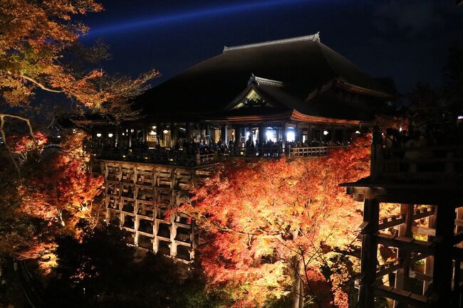 2021年京都の紅葉巡り（その２，二条城と清水寺の夜景）