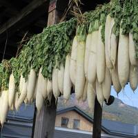 晩秋の北関東（塩原温泉）