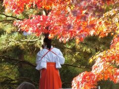 京都穴場の紅葉