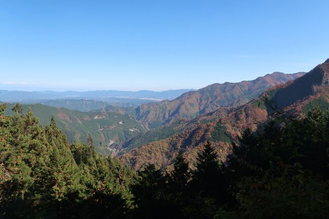 秋の秩父路　三峯神社を参拝し秩父名物わらじかつ丼を食す