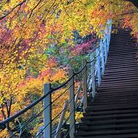 Stair Bridge to Heaven(天国への吊り橋)と昭和レトロな下部温泉／富士の国 晩秋旅