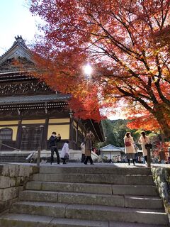 紅葉の京都 (4)   南禅寺・永観堂