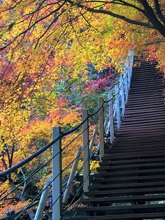 Stair Bridge to Heaven(天国への吊り橋)と昭和レトロな下部温泉／富士の国 晩秋旅