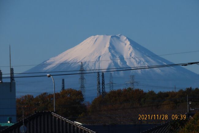 11月28日、午前9時39分頃にふじみ野市から素晴らしい富士山が見られました。　澄み切った空にくっきりと見られました。<br /><br /><br /><br /><br />*写真は富士山