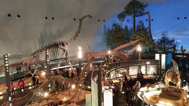ふくふく福井2020(3) 魅惑の恐竜博物館
