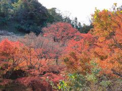 もみじロード(千葉県富津市）へ・・・