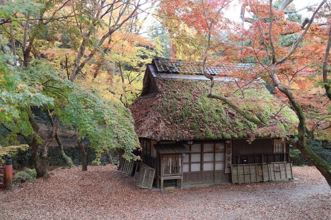 昨年、一昨年と晩秋の京都を訪れ、紅葉を楽しみましたが、今年は奈良旅です。<br />私にとっては奈良をゆっくりと訪れるのは久しぶりです。<br />東京駅８：０９発のぞみ１５号で京都へ。京都駅着１０：２１分。<br />近鉄京都線特急・近鉄奈良行で近鉄奈良へ。駅からタクシーに乗り、二月堂まで行き、ここから散策スタートです。<br /><br />☆１日目<br />近鉄奈良駅→taxi→二月堂(龍美堂で休憩)→手向山八幡宮→春日大社→ささやきの小径→志賀直哉旧居→浮見堂→元興寺 極楽坊→焼き芋専門店 維新蔵 ならまち店（休憩）→ホテル<br />夕食　鉄板ステーキ シェルブルー<br /><br />☆２日目<br />オリックスレンタカー奈良駅前店→室生寺→大野寺→長谷寺（酢屋長でランチ）→安倍文殊院→オリックスレンタカー奈良駅前店<br /><br />夕食　利光<br /><br />☆３日目<br />ホテル→酬恩庵（一休寺）→平等院(和夢茶CAFE でランチ)→京都駅<br /><br />ホテル　ホテル日航奈良<br /><br />錦秋の奈良・京都①（１日目前半）☆奈良公園（二月堂・手向山八幡宮・春日大社）☆龍美堂☆2021/11/24<br />https://4travel.jp/travelogue/11725534<br /><br />錦秋の奈良・京都②（１日目後半）☆志賀直哉旧居・浮見堂・元興寺☆鉄板ステーキ シェルブルー☆2021/11/24<br />https://4travel.jp/travelogue/11726553<br /><br />錦秋の奈良・京都③（２日目前半）☆室生寺・大野寺☆2021/11/25<br />https://4travel.jp/travelogue/11726857<br /><br />錦秋の奈良・京都④（２日目後半）☆長谷寺・安倍文殊院☆利光☆2021/11/25<br />https://4travel.jp/travelogue/11727402<br /><br />錦秋の奈良・京都⑤（３日目）☆酬恩庵（一休寺）・平等院☆和夢茶CAFE☆2021/11/26<br />https://4travel.jp/travelogue/11728051<br /><br /><br /><br />