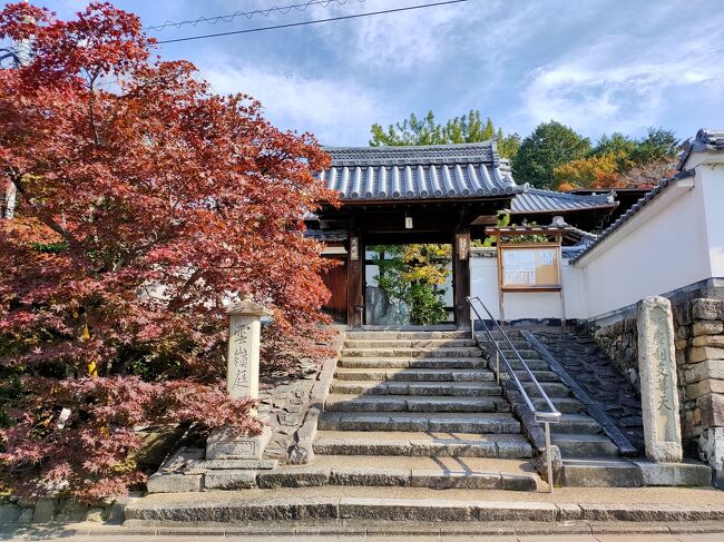 京都でハイアットリージェンシーに泊まる　その１「東福寺・光明院」