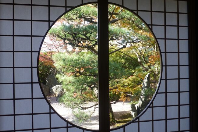 名古屋で友人と再会、その移動を借りて前日、紅葉盛りの京都まで足を延ばし一人旅を満喫してきました。数ある京都訪問の我が歴史の中、紅葉に誘われての旅は初めて。ああ、来てよかった、と木々の美しさへの感謝と、こんな時に来るもんじゃない、と反省する人の波、と両極端な感想の入り混じる短い旅でした。