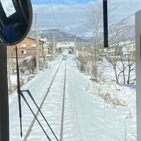 白銀の景色を楽しむ大糸線の旅( 緑翠亭景水　)