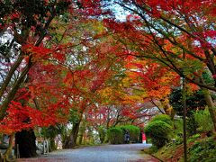 情緒纏綿 近江逍遥③三井寺（園城寺）南院