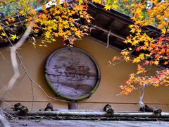 情緒纏綿 近江逍遥⑤三井寺（園城寺）北院 法明院（エピローグ）