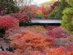 京都 紅葉の旅 東福寺＋他