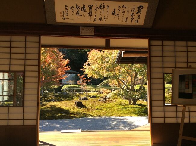 北鎌倉駅ー円覚寺ー明月院ー長寿寺ー点心庵(昼食)ー建長院ー天園ハイキングー八幡宮ー小町通りの紅谷でくるみっ子お土産<br />ー農協即売所で野菜を買って帰る<br />https://youtu.be/FsY_hjoAQ-s