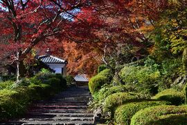 シニアの2021年、紅葉の季節ですねっ［６］　善峯寺、しょうざんリゾート