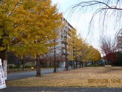 福岡中央公園の風景