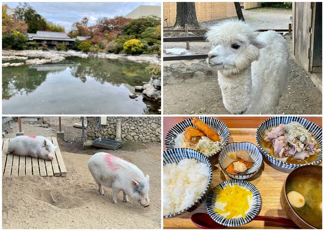 嗚呼悲しき落選・・桑田佳祐様のいけず・・伊東1泊　前編　三島楽寿園～大衆食堂 安べゑ