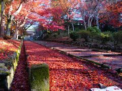 京都 紅葉の旅 毘沙門堂・南禅寺＋他