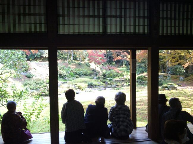 福岡県みやま市に、本吉山清水寺というお寺があります。<br />なぜ福岡に清水寺…とは思いますが、南筑後では名刹として知られています。<br />ここは四季を通じて美しい庭園がありますが、紅葉の季節。<br />フォートラベラーの皆様に遅れまいと紅葉の撮影に行ってきました。<br /><br />尚、本旅行記と直接関係のない事柄ですが…前回の三池港「光の航路」の撮影後、我がデジカメが寿命を迎えました。拙旅行記「思い出の秋の旅」シリーズで、広島の量販店で購入したデジカメ（二代目）。11年に渡って頑張ってくれました。天寿を全うしてくれたと思います。<br />…ということで、今回はスマホでの写真。いつにも増してイマイチな写真ですが、ご笑覧いただければ幸いです。<br /><br />（2021/12/17公開）