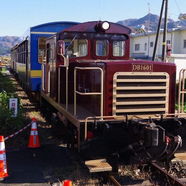 ※写真は　入線する、南阿蘇鉄道・トロッコ列車<br /><br />以下　本日の旅程<br />ホテル（8時頃発）<br />バス移動<br />口之津港<br /> 遊覧　イルカウォッチング体験、イルカは本日お休み<br />天草・鬼池港<br />バス移動<br />　リゾラテラス天草<br />バス移動<br />中松駅<br />　南阿蘇鉄道　田園風景を走るトロッコ列車<br />高森駅<br />バス移動<br />　大観峰<br />バス移動<br />　阿蘇内牧温泉（18時ごろ到着）<br /><br />初日から「ずる」をしてマスクをはずす人がいます、添乗員は見て見ぬふり、この人時々喋ります、エレベータで同じ空気を吸うので奥様がきつめに注意します、マスクしてください！はい！<br />